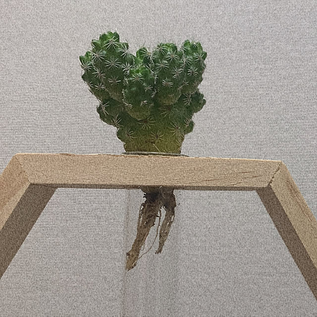 mさんの実例写真