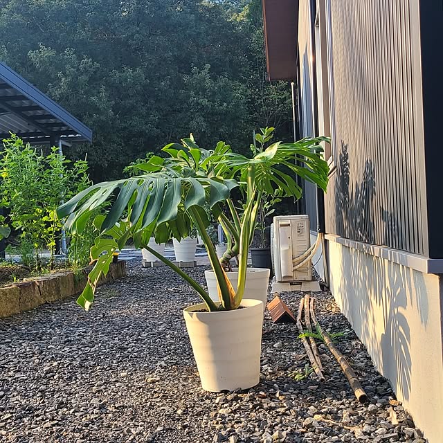 Rubiconさんの部屋