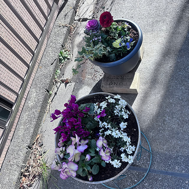 Yukikokoさんの部屋