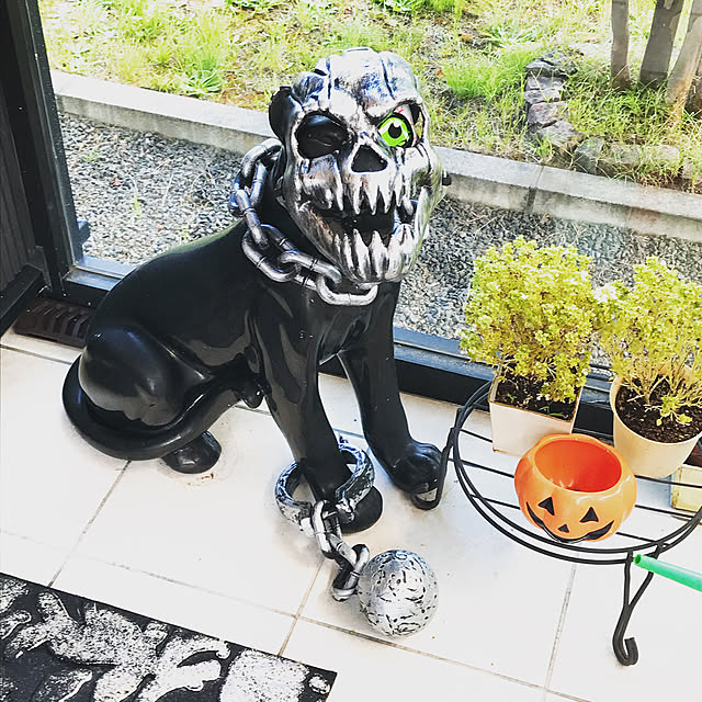 実例写真