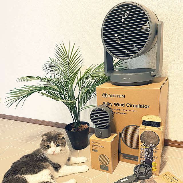 tansukeさんの部屋