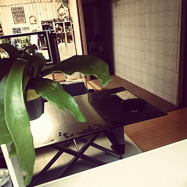 okameさんの実例写真
