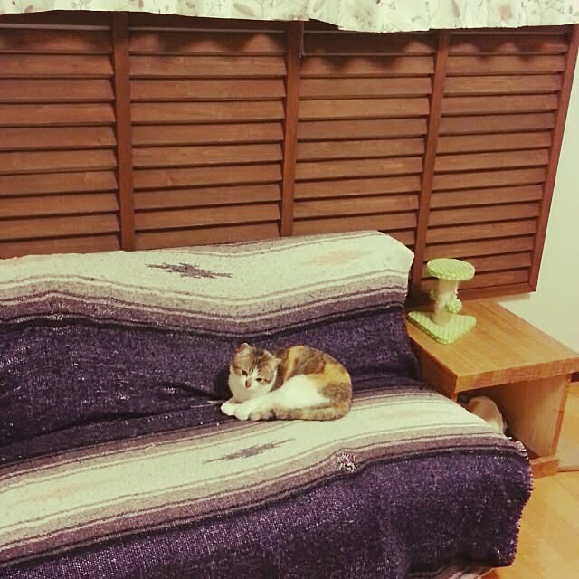 shizurockさんの実例写真