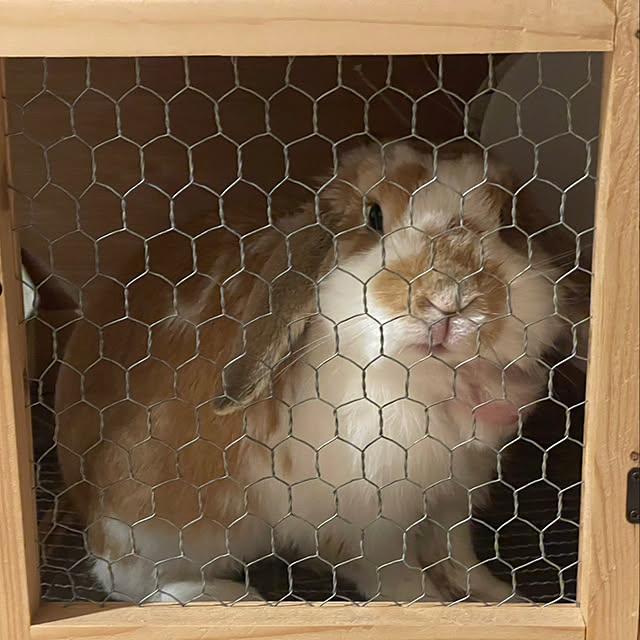 RABIHAさんの実例写真
