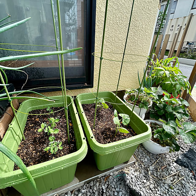 enotasoさんの部屋
