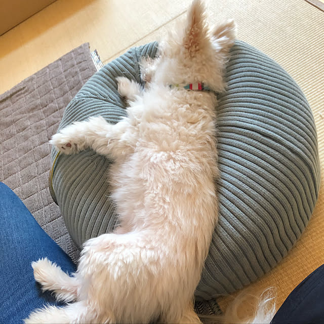 bonさんの実例写真