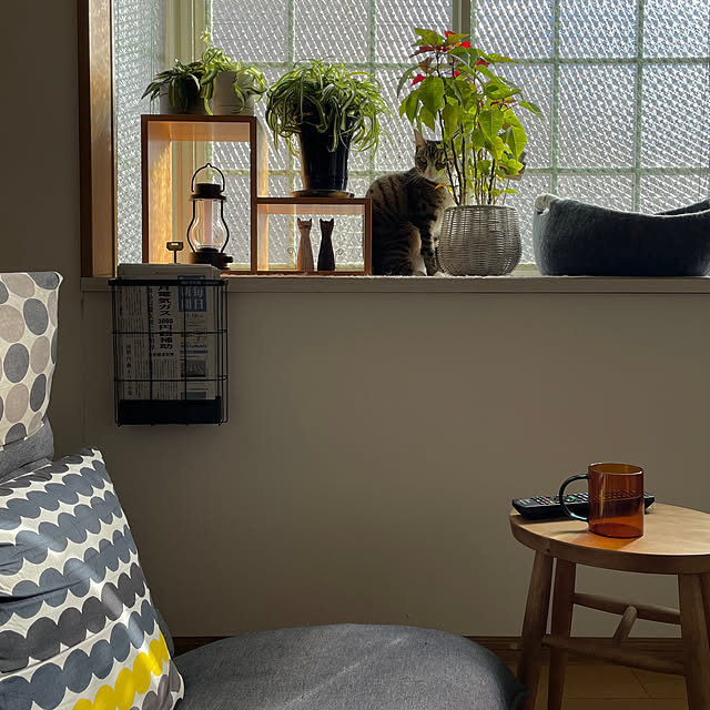 nobikoさんの部屋