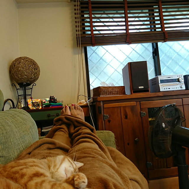 okyosan101さんの実例写真