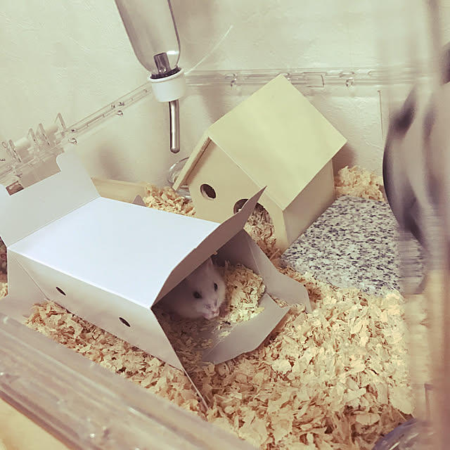 kukkaさんの実例写真
