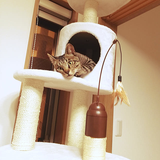 sebasuchanさんの実例写真