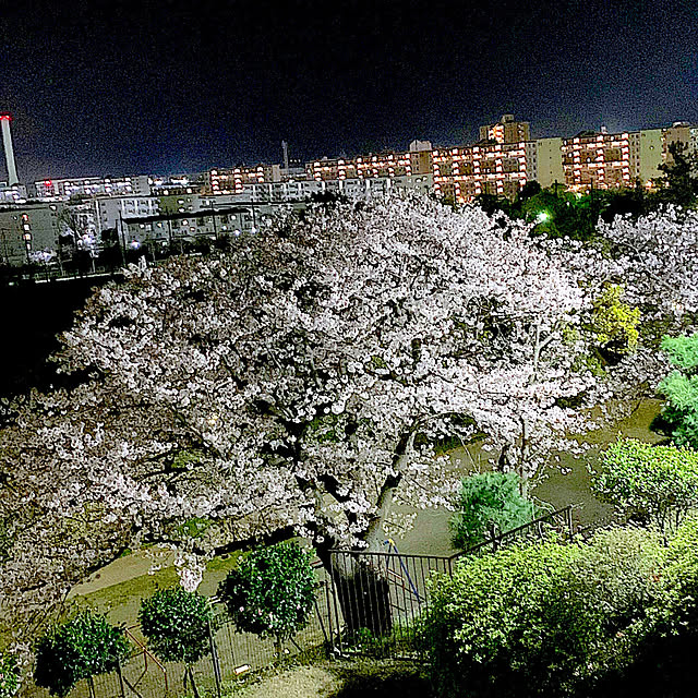 syutmmさんの実例写真