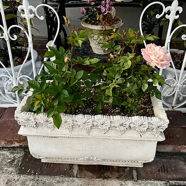 AYUKOさんの部屋