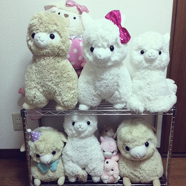 pecochipさんの実例写真