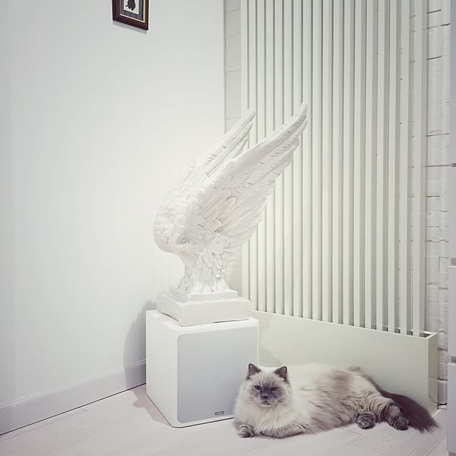 yuchiさんの実例写真