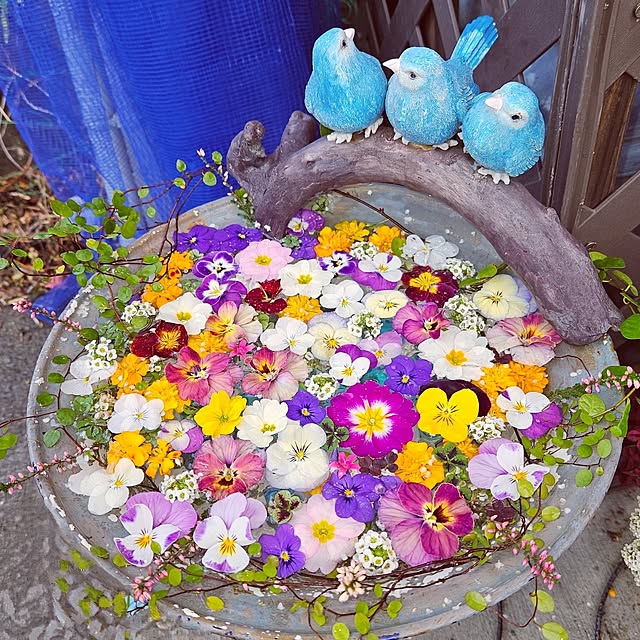 mocomocoさんの実例写真