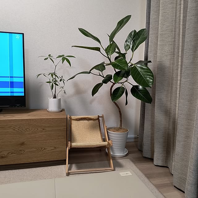 naoさんの実例写真