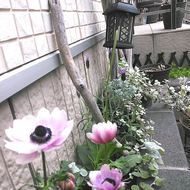 mudflapさんの実例写真