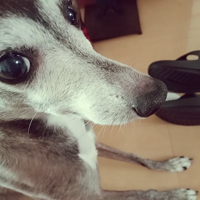 moruさんの部屋