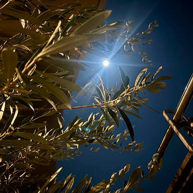 up0524さんの部屋