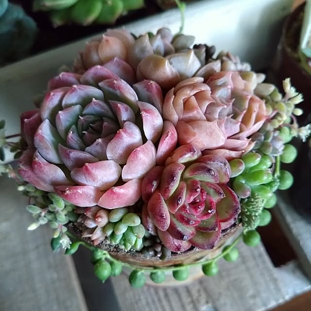 mamaさんの部屋