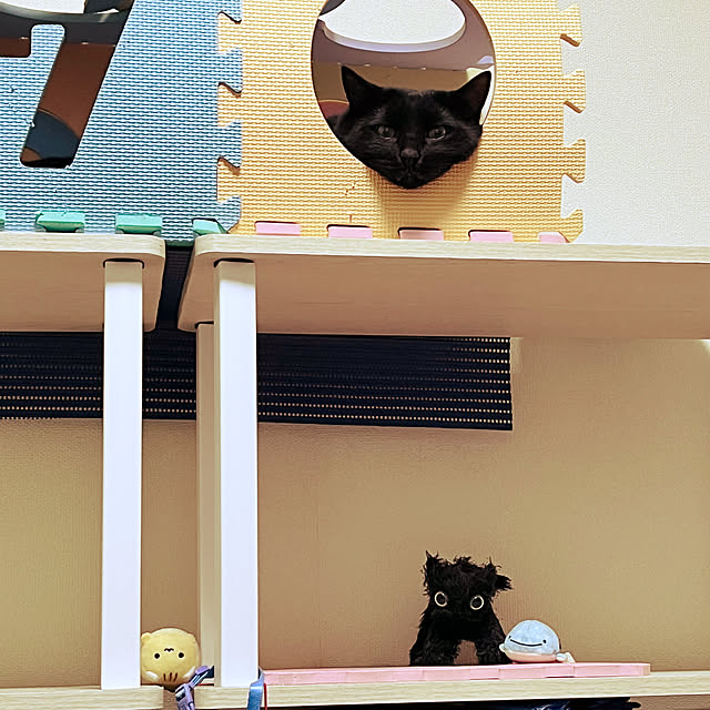 nyaさんの実例写真