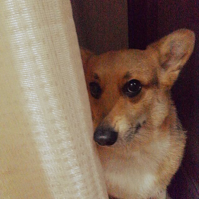 hirokoさんの実例写真