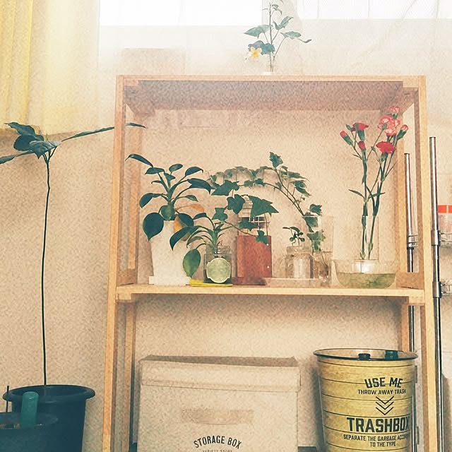 sumomoさんの部屋