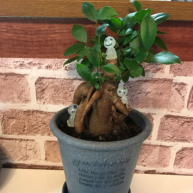 mido1157さんの実例写真