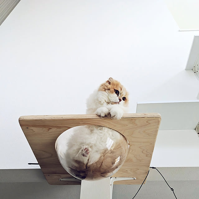 pikuさんの実例写真