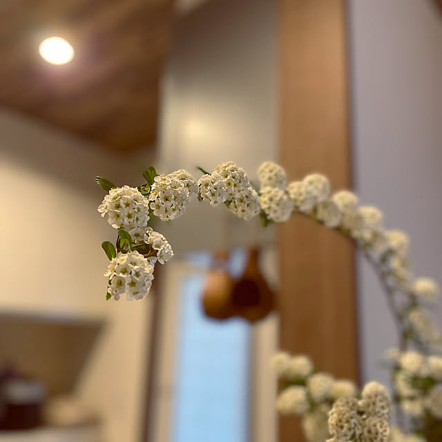 seiさんの部屋