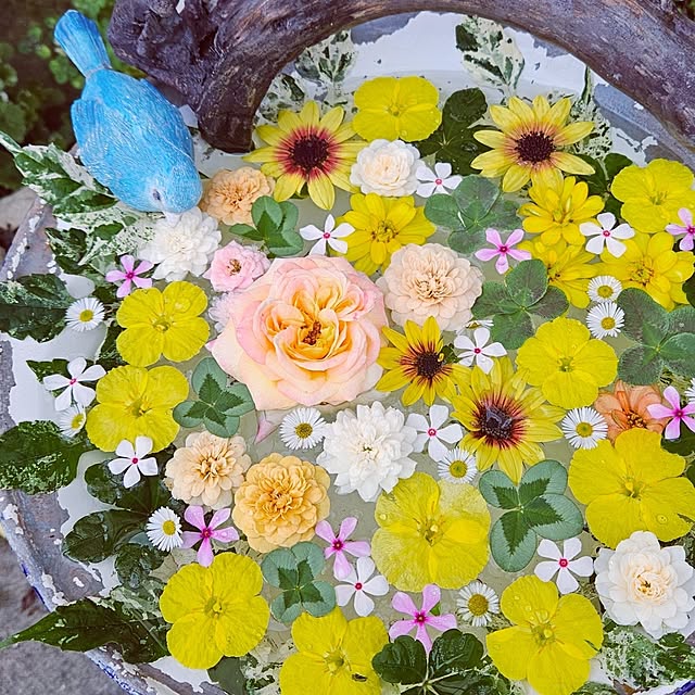 mocomocoさんの部屋