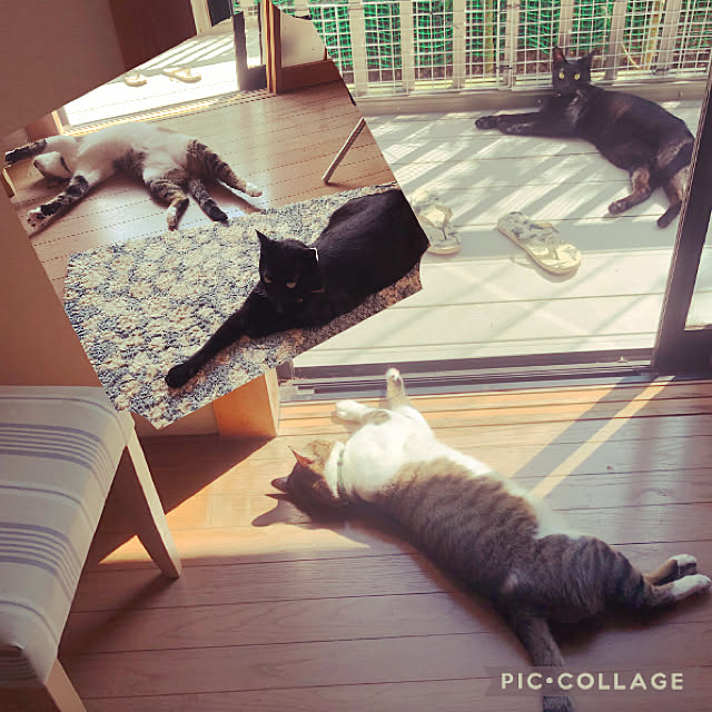 jijiさんの実例写真