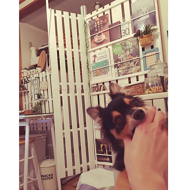 shocopyさんの実例写真