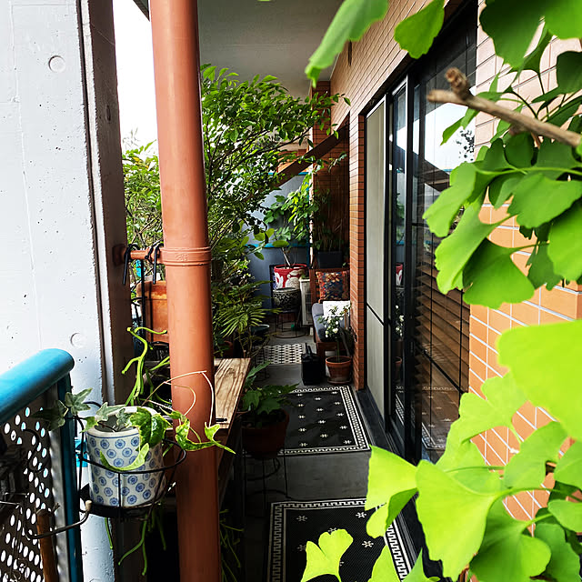 amyさんの部屋