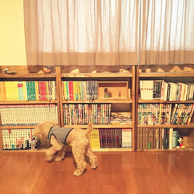 nazunaさんの実例写真