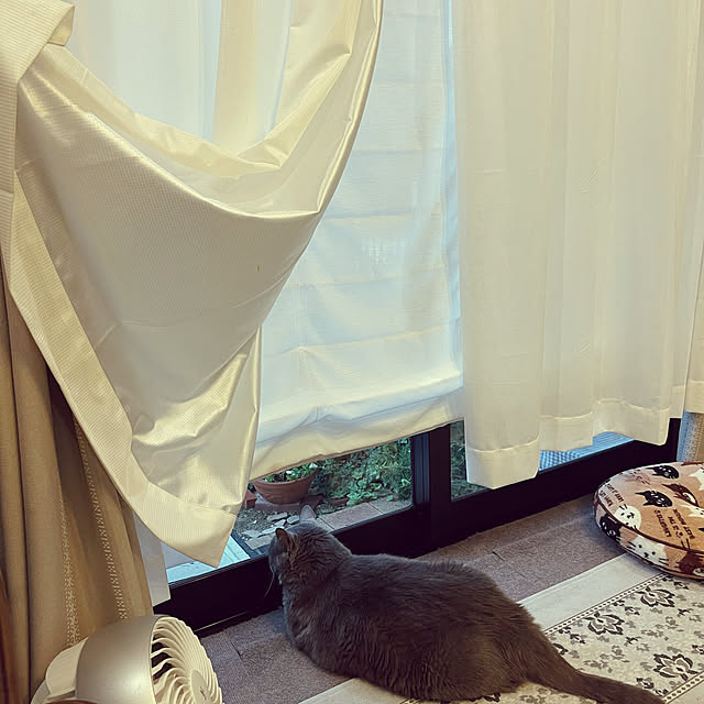 chikaさんの実例写真