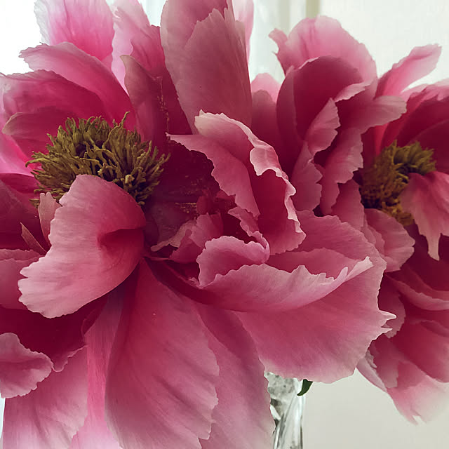 richanさんの部屋