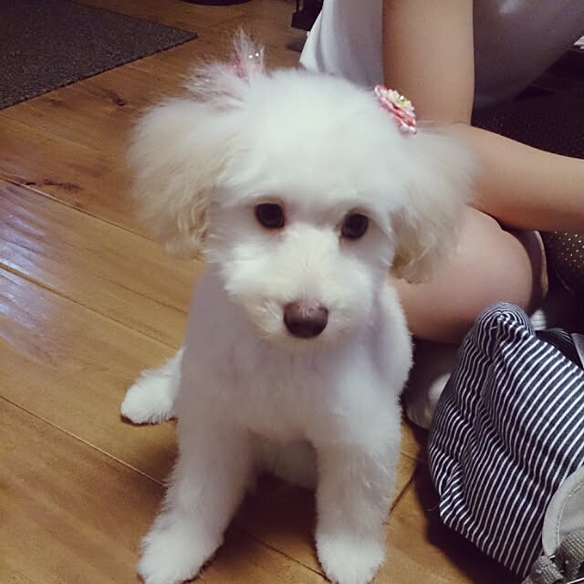 Tomokoさんの実例写真