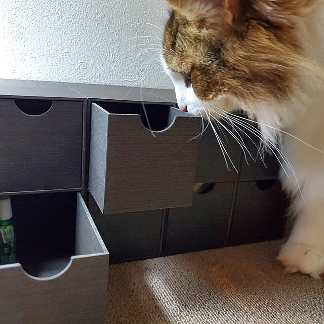 muku+maroさんの部屋