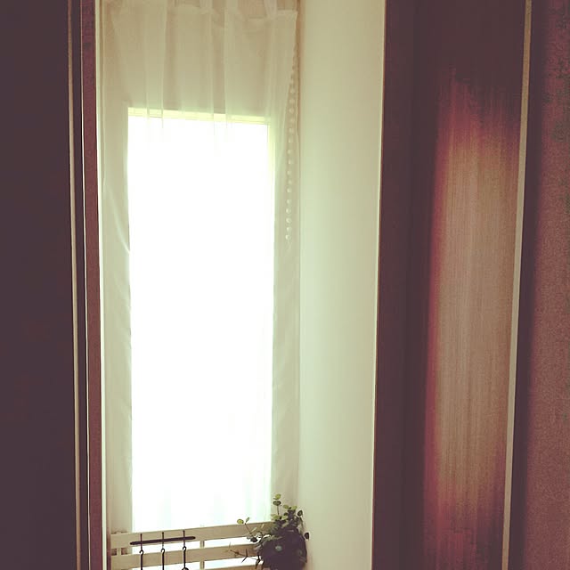 saorinさんの実例写真