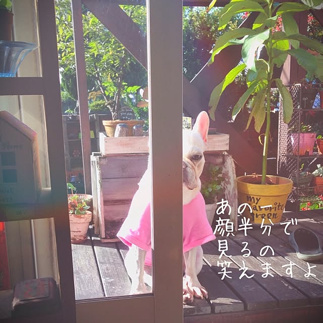 38coreさんの実例写真