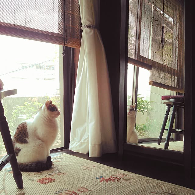 amelliaさんの実例写真
