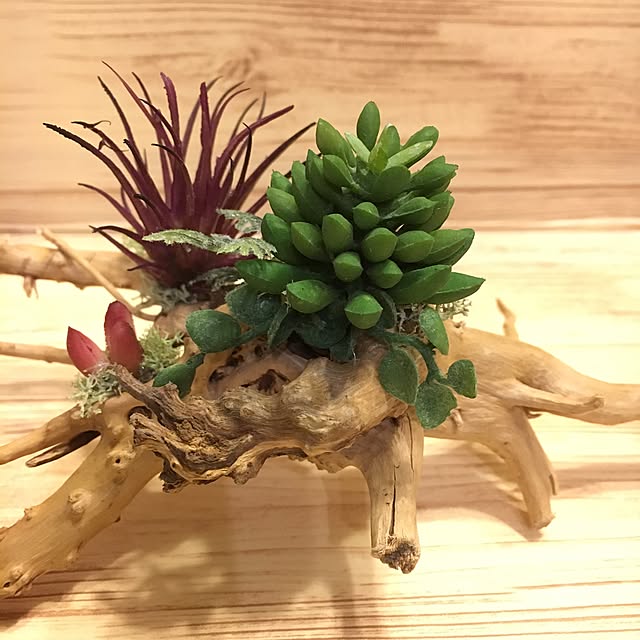 kokoさんの実例写真