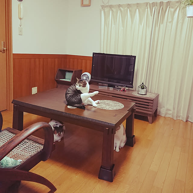 nachiさんの実例写真