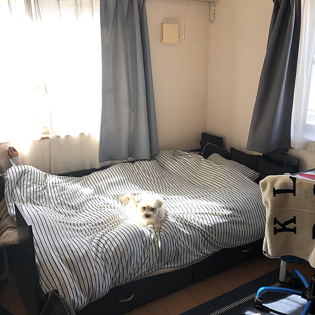 tenmaruさんの実例写真