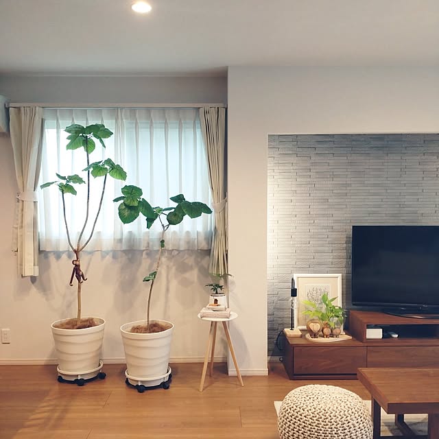 tan5さんの部屋
