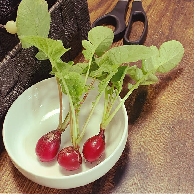 katesu1126さんの実例写真