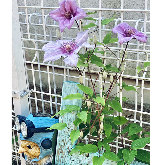 CoCo0617さんの部屋
