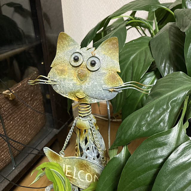 mizuyoさんの実例写真