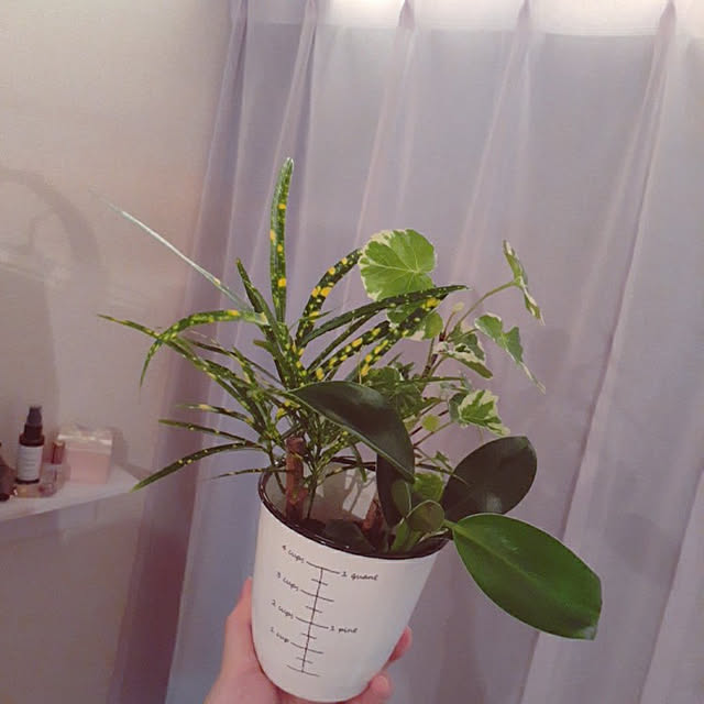 miaklipさんの実例写真